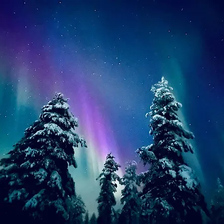 Villa Brand New! Moon *