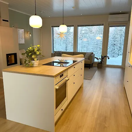 别墅 Brand New! Moon 罗瓦涅米