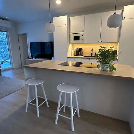 别墅 Brand New! Moon 罗瓦涅米