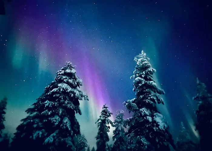 Villa Brand New! Moon *