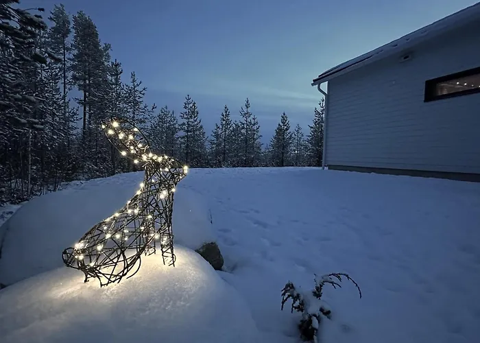 Brand New! Moon Villa Rovaniemi